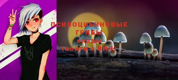 винт Алексин