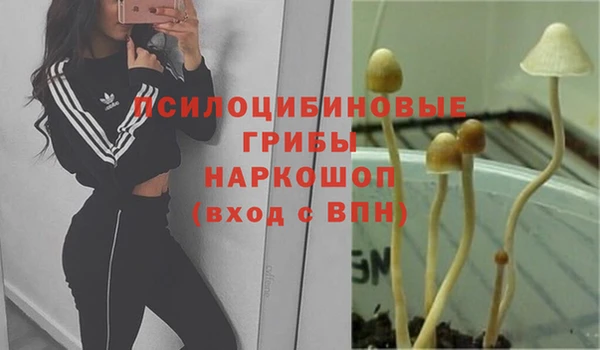 дмт Сафоново
