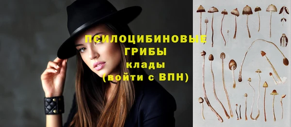 винт Алексин