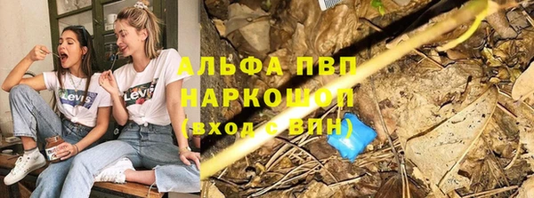 винт Алексин