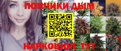 jwh Будённовск