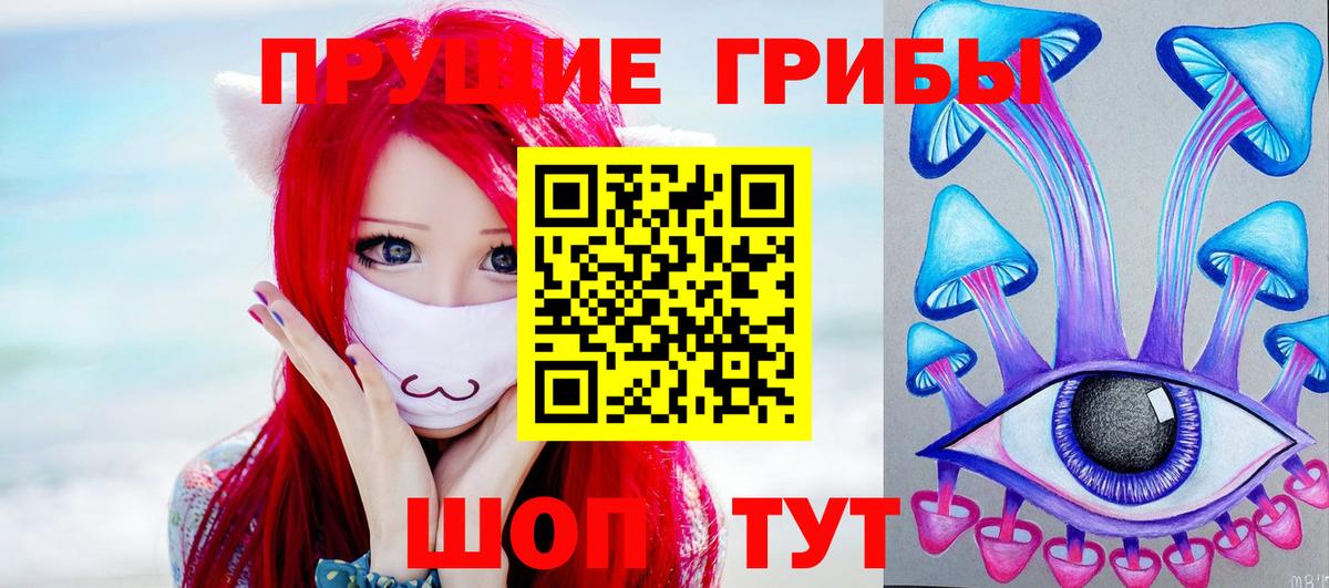Псилоцибиновые грибы Psilocybe Изобильный