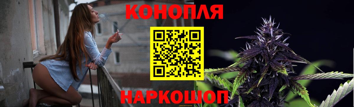 Бошки Шишки конопля  Шишки марихуана планчик  Вход с VPN  Изобильный 